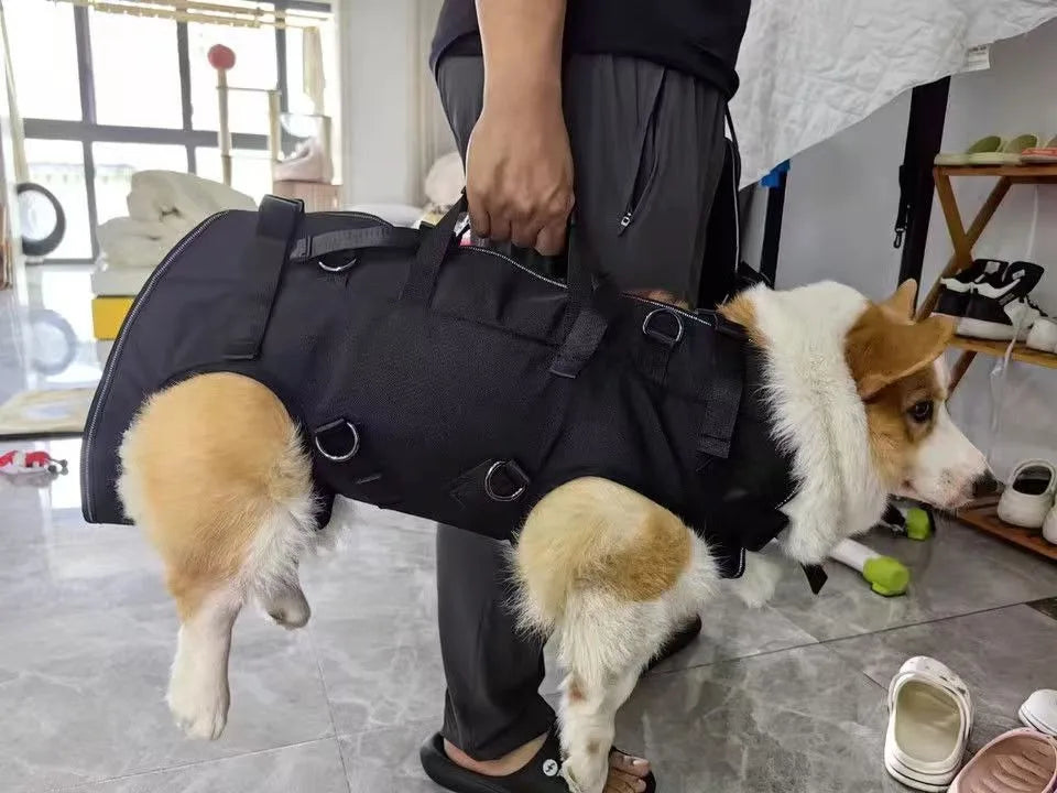 Mochila de viagem para animais de estimação (3 tamanhos) - Mochila de ombro para caminhadas e passeios ao ar livre, resistente e confortável