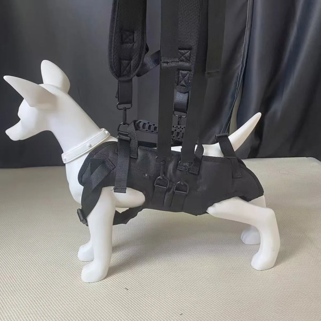 Mochila de viagem para animais de estimação (3 tamanhos) - Mochila de ombro para caminhadas e passeios ao ar livre, resistente e confortável
