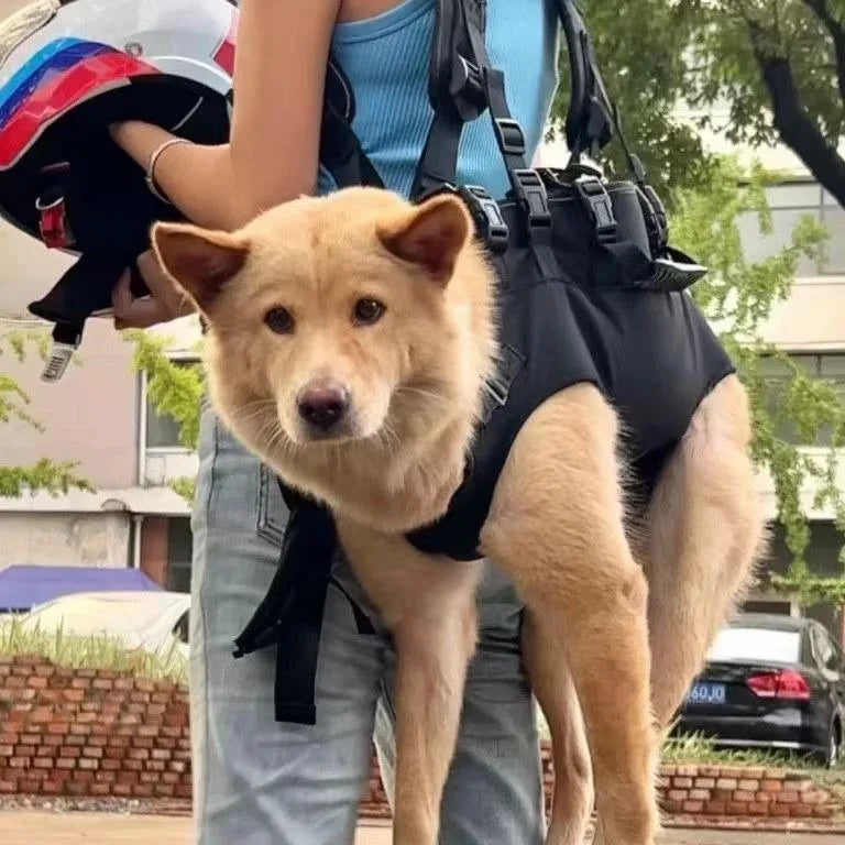 Mochila de viagem para animais de estimação (3 tamanhos) - Mochila de ombro para caminhadas e passeios ao ar livre, resistente e confortável