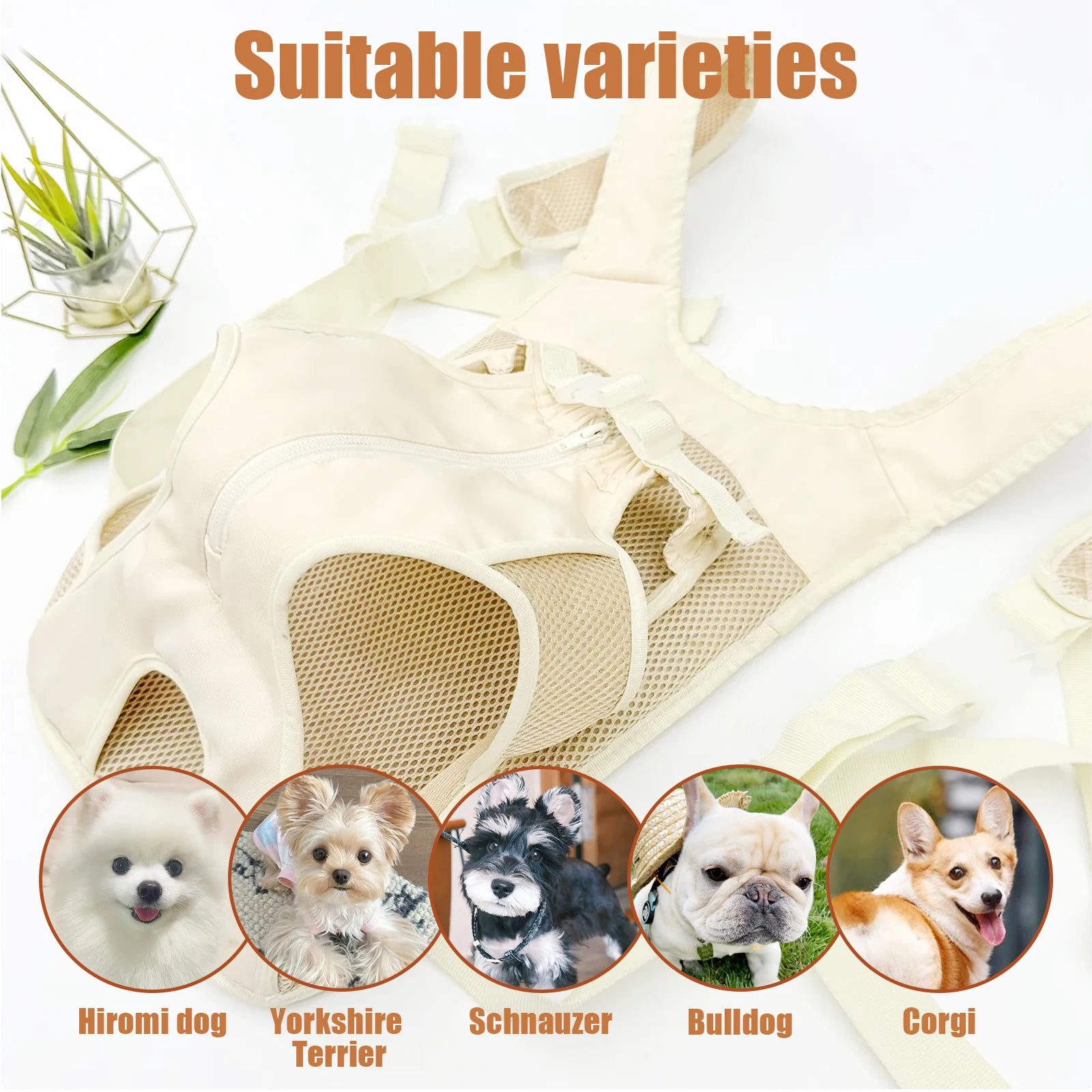 Nova Mochila para Cães e Gatos, Estilo Abraço